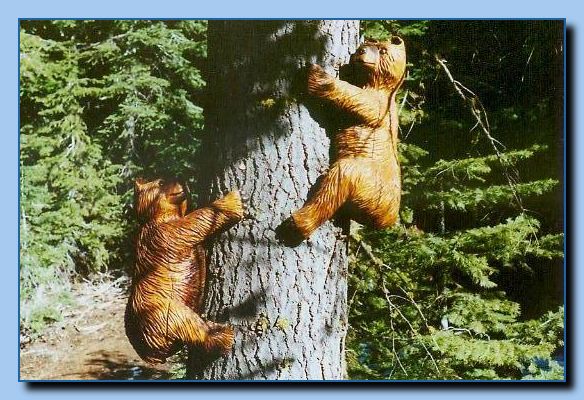1-58 bears attached to tree